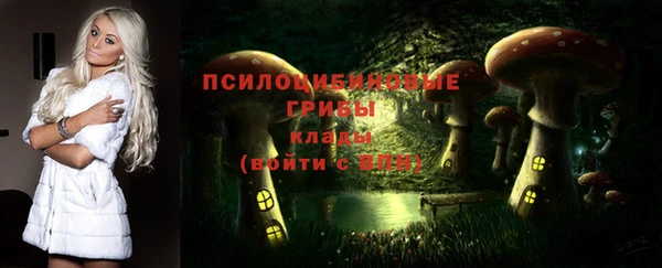 гидропоника Белоозёрский