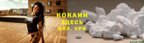 мдпв Богданович