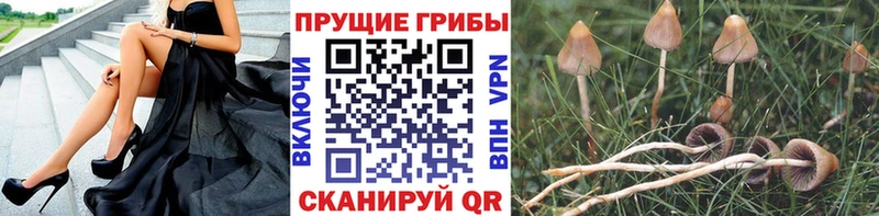 Псилоцибиновые грибы мухоморы  Медвежьегорск 